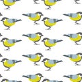 Seamless pattern with tomtit birds