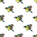Seamless pattern with tomtits Royalty Free Stock Photo