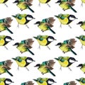 Seamless pattern with tomtits Royalty Free Stock Photo