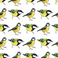 Seamless pattern with tomtits Royalty Free Stock Photo