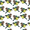 Seamless pattern with tomtits Royalty Free Stock Photo