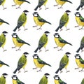 Seamless pattern with tomtits Royalty Free Stock Photo