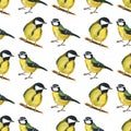 Seamless pattern with tomtits Royalty Free Stock Photo