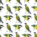 Seamless pattern with tomtits Royalty Free Stock Photo