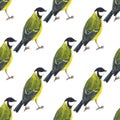Seamless pattern with tomtits Royalty Free Stock Photo