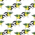 Seamless pattern with tomtits Royalty Free Stock Photo