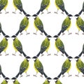 Seamless pattern with tomtits Royalty Free Stock Photo