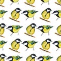 Seamless pattern with tomtits Royalty Free Stock Photo