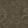 Seamless pattern. Topographic map background with space for copy Seamless texture. Line topography map contour Royalty Free Stock Photo