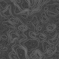 Seamless pattern. Topographic map background with space for copy Seamless texture. Line topography map contour