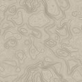 Seamless pattern. Topographic map background with space for copy Seamless texture. Line topography map contour