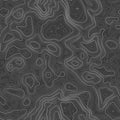 Seamless pattern. Topographic map background with space for copy Seamless texture. Line topography map contour Royalty Free Stock Photo