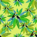 Seamless pattern Toucan exotic bird on palm Vector