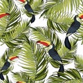 Seamless pattern toucan and palm branches. Beautiful drawings. art print