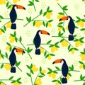 Seamless pattern with toucan on citrus background - vector illustration, eps