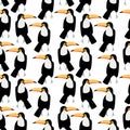 Seamless pattern with toucan - tropic bird. Cartoon character