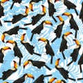 Seamless pattern toucan white blue background