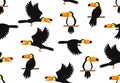 Seamless pattern of Toucans bird character cartoon on white background