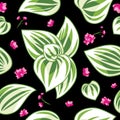 Seamless pattern with tradescantia and pink wildflowers