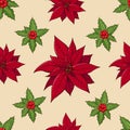 Seamless pattern with traditional homeplant poinsettia and holly plant. Endless texture with flower used indoor. Vector color Royalty Free Stock Photo