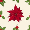 Seamless pattern with traditional homeplant poinsettia and holly plant. Endless texture with flower used indoor. Vector color Royalty Free Stock Photo