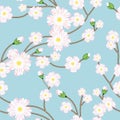 Seamless pattern with tree blossoming brunch Royalty Free Stock Photo