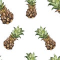 Seamless pattern with tropical Ananas. Element for design of invitations, movie posters, fabrics and other objects Royalty Free Stock Photo