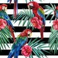 Seamless pattern of tropical birds, parrot and palm leaves with camellia flowers on a black white geometric background Royalty Free Stock Photo