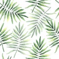 Seamless pattern of tropical coconut leaves