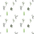 seamless pattern. Tropical elements Agonis, Eucalyptus, Annona, Balata, Zamiokulkas, Cissus. Colorful naturalistic pictures.