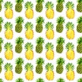 Seamless pattern with tropical exotic fruits. pineapple slice on white background