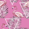 Seamless pattern with tropical Flamingo. Element for design of invitations, movie posters, fabrics and other objects Royalty Free Stock Photo