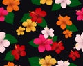 Seamless pattern of tropical flora with hibiscus flowers and leaves on dark background Royalty Free Stock Photo