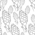 Seamless pattern Tropical flower of ginger coloring torch. vec Royalty Free Stock Photo