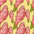 Seamless pattern Tropical flower of ginger Red torch. vector ill