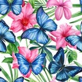 Seamless pattern. Tropical flowers, blue butterflies and palm green leaves. Floral background. Royalty Free Stock Photo