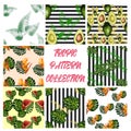 seamless pattern of tropical flowers green leaves of palm trees and flowers bird of paradis, hibiscus, avocado Royalty Free Stock Photo