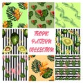 seamless pattern of tropical flowers green leaves of palm trees and flowers bird of paradis, hibiscus, avocado Royalty Free Stock Photo