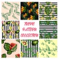 seamless pattern of tropical flowers green leaves of palm trees and flowers bird of paradis, hibiscus, avocado Royalty Free Stock Photo