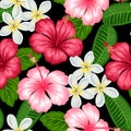 Seamless pattern with tropical flowers hibiscus and plumeria. Background made without clipping mask. Easy to use Royalty Free Stock Photo