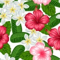 Seamless pattern with tropical flowers hibiscus and plumeria. Background made without clipping mask. Easy to use Royalty Free Stock Photo