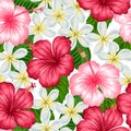 Seamless pattern with tropical flowers hibiscus and plumeria. Background made without clipping mask. Easy to use Royalty Free Stock Photo