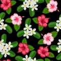 Seamless pattern with tropical flowers hibiscus and plumeria. Background made without clipping mask. Easy to use Royalty Free Stock Photo