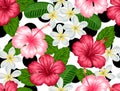 Seamless pattern with tropical flowers hibiscus and plumeria. Background made without clipping mask. Royalty Free Stock Photo