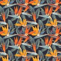 Seamless pattern with tropical flowers and leaves of Strelitzia Reginae on dark background.