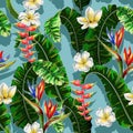 Seamless pattern with tropical flowers. Strelicia, plumeria and banana leaf hand draw vector illustration.