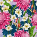 Seamless pattern with tropical flowers. Strelicia, plumeria and tropical leaf hand draw vector illustration.