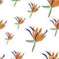 Seamless pattern with tropical flowers on white background. Strelitzia botany summer print. Elegant pattern. packaging, wallpaper,