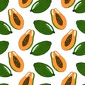 seamless pattern with tropical fruits, drawn papaya on a white background, textile