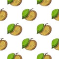 Seamless pattern with tropical fruits. Illustration in hand draw style Royalty Free Stock Photo